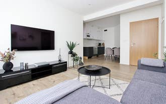 The living area at Downtown Apartments has a flat-screen TV, a gray sofa, and a cozy rug beside a dining space.