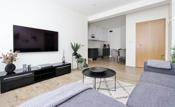 Hafnarstraeti市中心公寓（Hafnarstraeti Downtown Apartments）