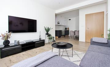 Downtown Apartments的起居区配有一台平板电视、一张灰色沙发和一块舒适的地毯，旁边是用餐区。