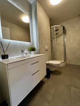 Modernes Badezimmer mit weißem Waschtisch, großem Spiegel, Toilette und Glasdusche im Charming Deluxe Apartment in Akureyri.