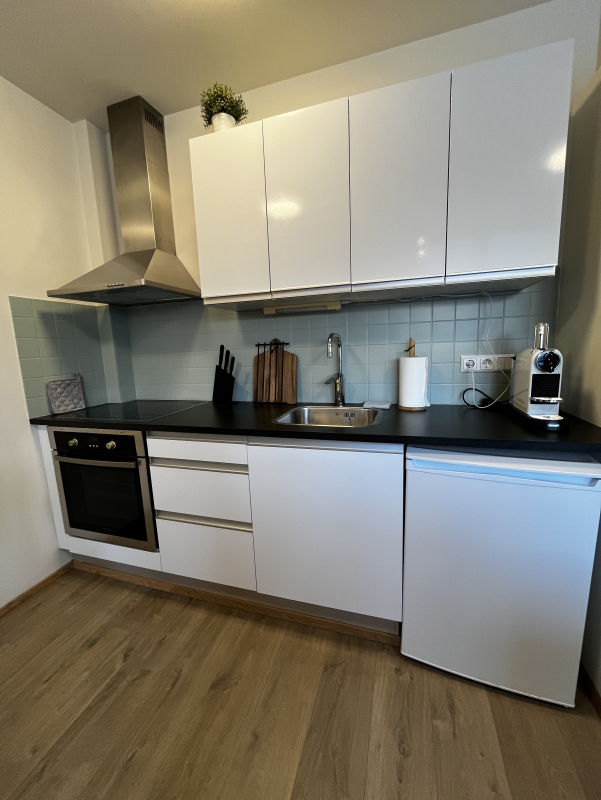 Charming Deluxe Apartment公寓