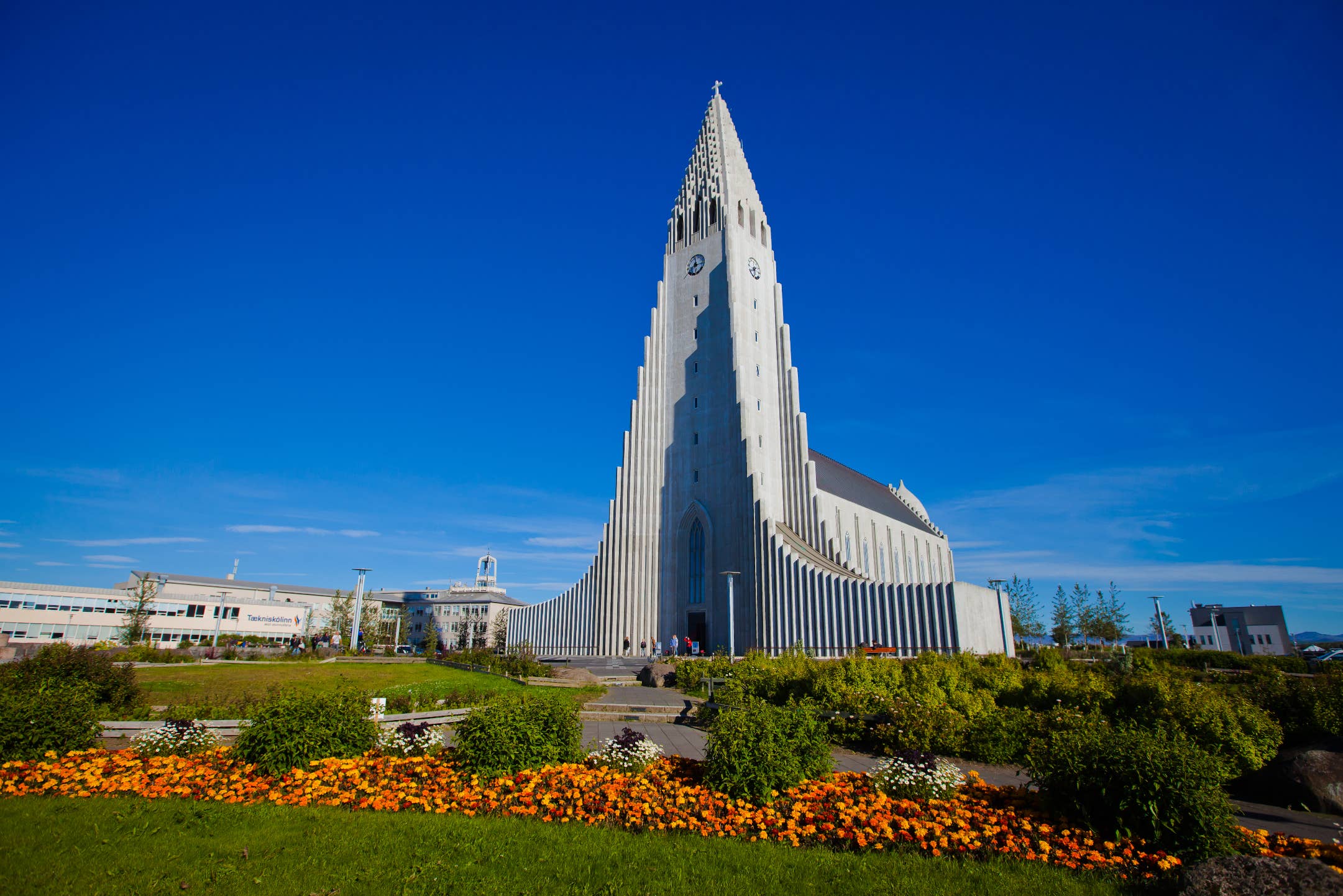 Hallgrimskirkja-kirken i Reykjavik står højt under en klar blå himmel, omgivet af farvestrålende sommerblomster.
