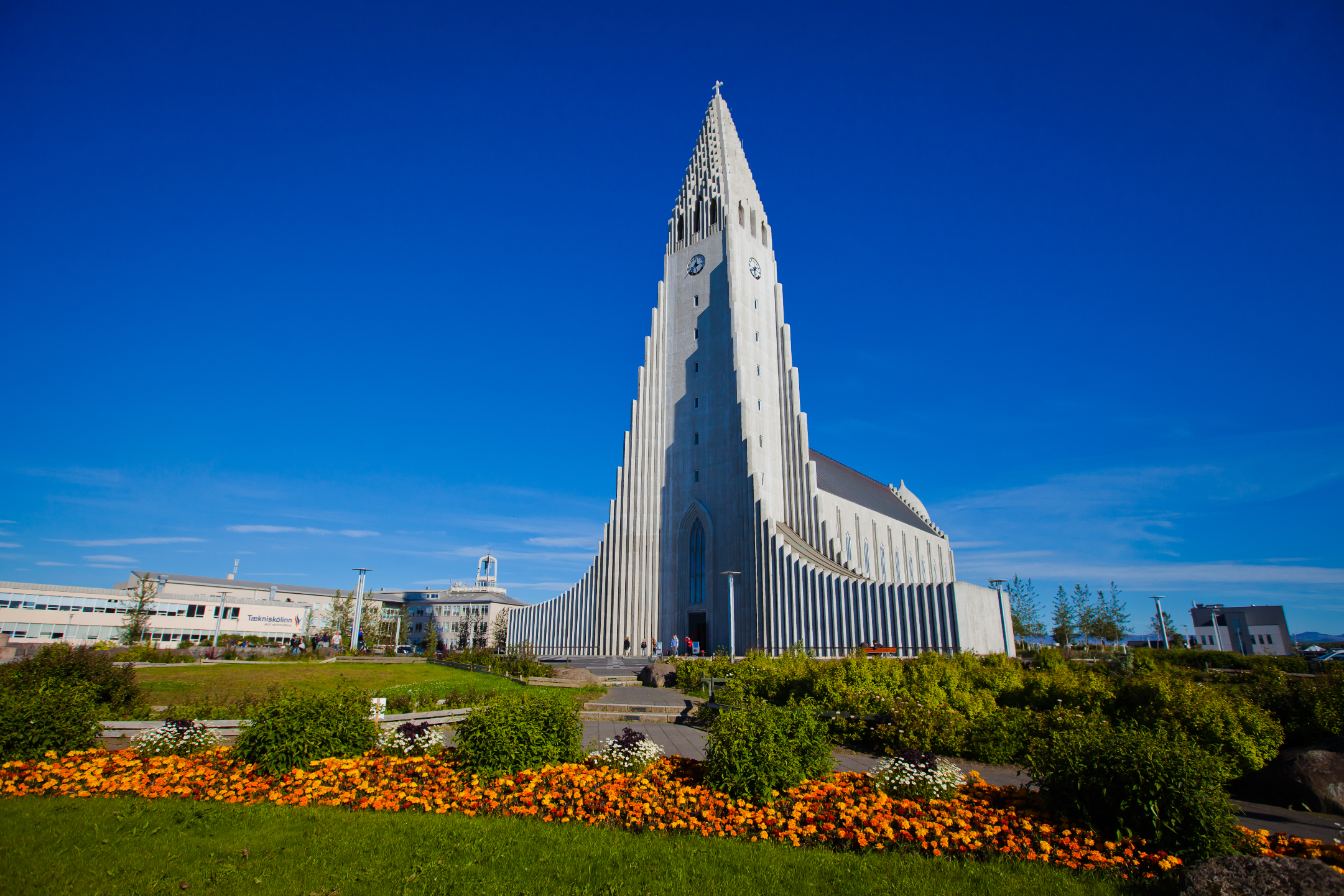 Kościół Hallgrimskirkja w Reykjaviku wznosi się pod czystym błękitnym niebem, otoczony barwnymi letnimi kwiatami.