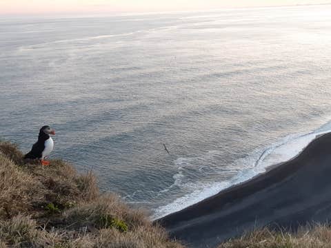 Incredible 2-Day Small-Group Golden Circle and South Coast Tour with Transfer from Reykjavik