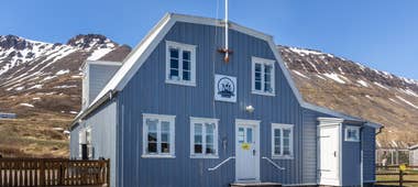Sudavik Arctic Fox Center