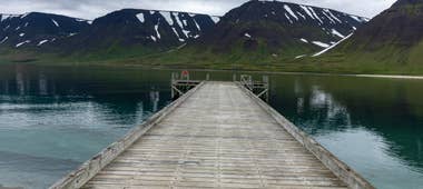 Onundarfjordur Pier