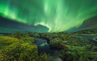 Levande gröna norrsken dansar över natthimlen ovanför det karga landskapet i Thingvellir nationalpark på Island.