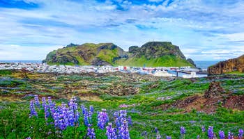 Private Westman Islands Day Tour with Ferry and Volcano Visit from Reykjavik