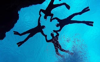 The silhouette of four divers make a deep contrast against the blue waters of Silfra Fissure on a snorkleling tour