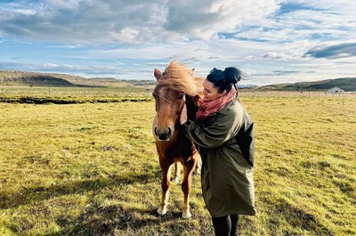 A woman strokes an Icelandic horse in a sunny field.