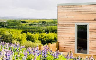 Zewnętrzny widok na Blueberry Hills Villa pośród bujnej przyrody.