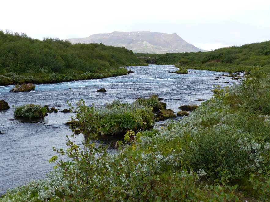 一条河流穿过Thjorsardalur山谷，两岸灌木丛生，残存着冰岛古老森林的痕迹。