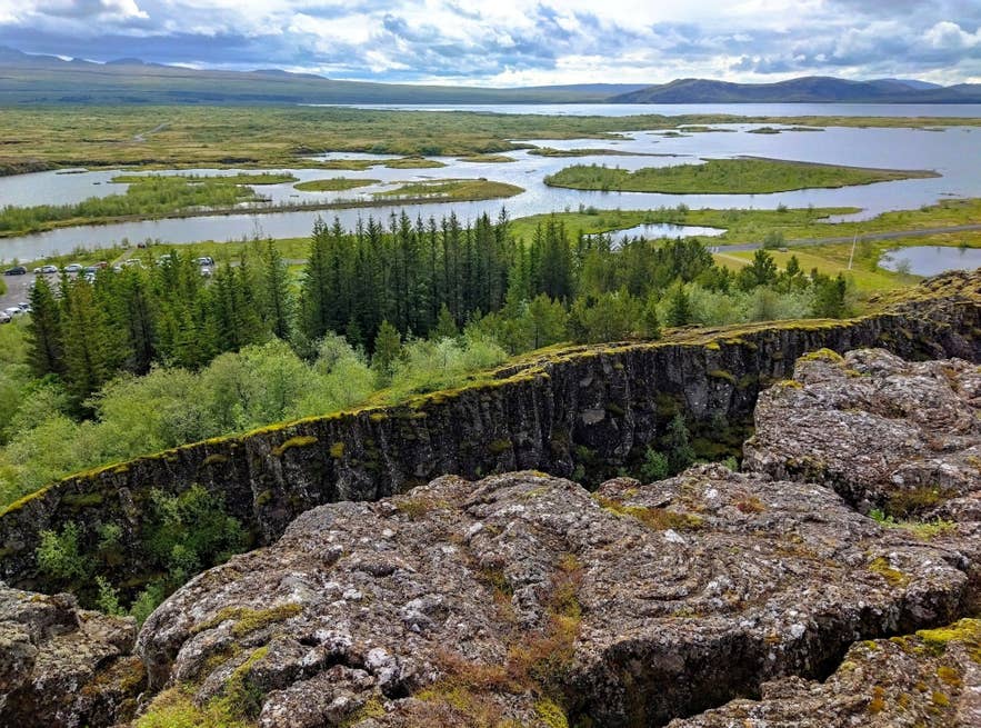 冰岛森林虽少，但如辛格韦德利国家公园(Thingvellir National Park)中这样的林地，展现出持续进行的再造林努力。