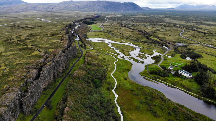Lasy na Islandii rosną na dnie doliny ryftowej w Parku Narodowym Thingvellir, otoczone rzekami i surowymi klifami.