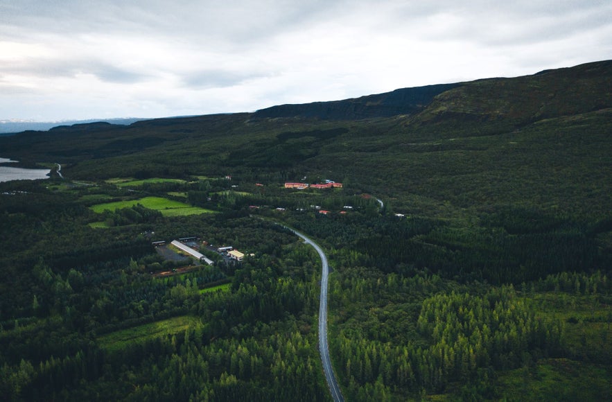 Hallormsstadaskogur is the largest National Forest in Iceland.