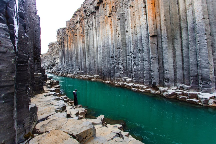 Some day tours to Reindeer Park are available that also include a visit to Studlagil Canyon. Check the tours below.