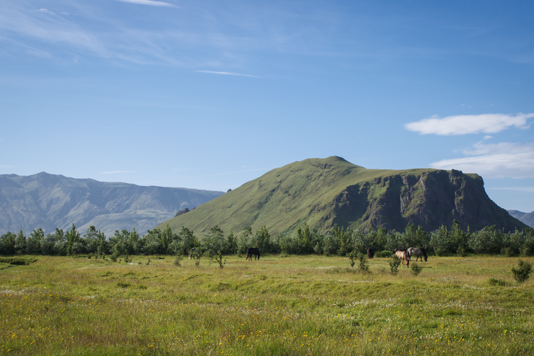 One-Way Highland Bus Transfer to Hvolsvollur from Thorsmork in Iceland