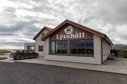 Lysuholl
