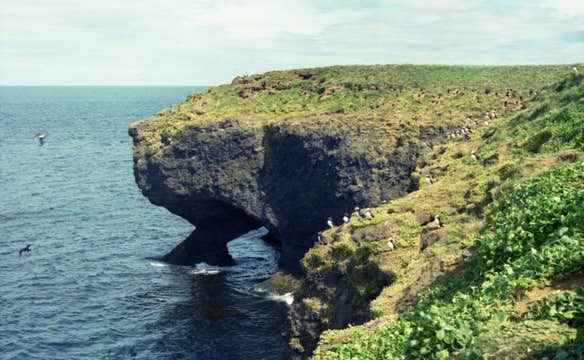 Private 4-Hour Geology Tour of North Iceland with Asbyrgi Canyon and Transfer from Husavik