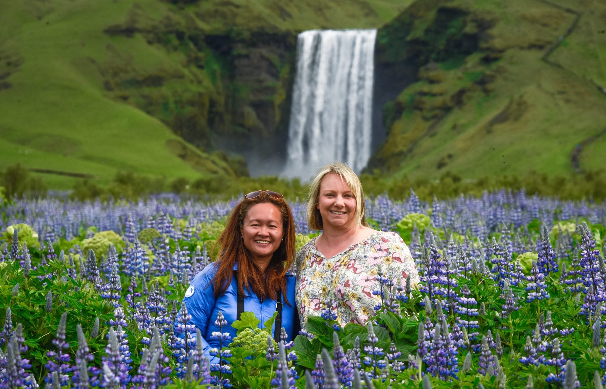Two women smile in a field of lupine flowers with Skogafoss waterfall in the background.
