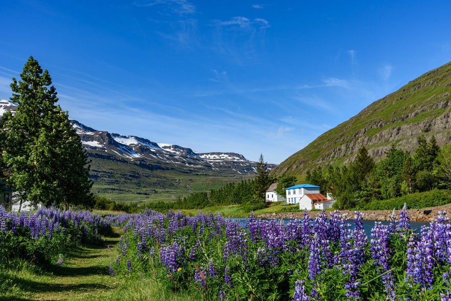 Seydisfjordur
