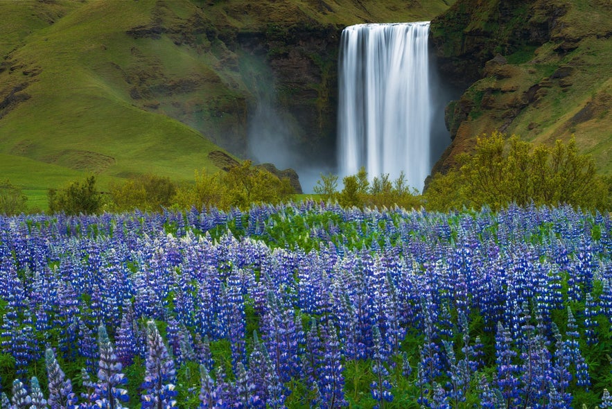 Skogafoss waterfall on the South Coast of Iceland from above
