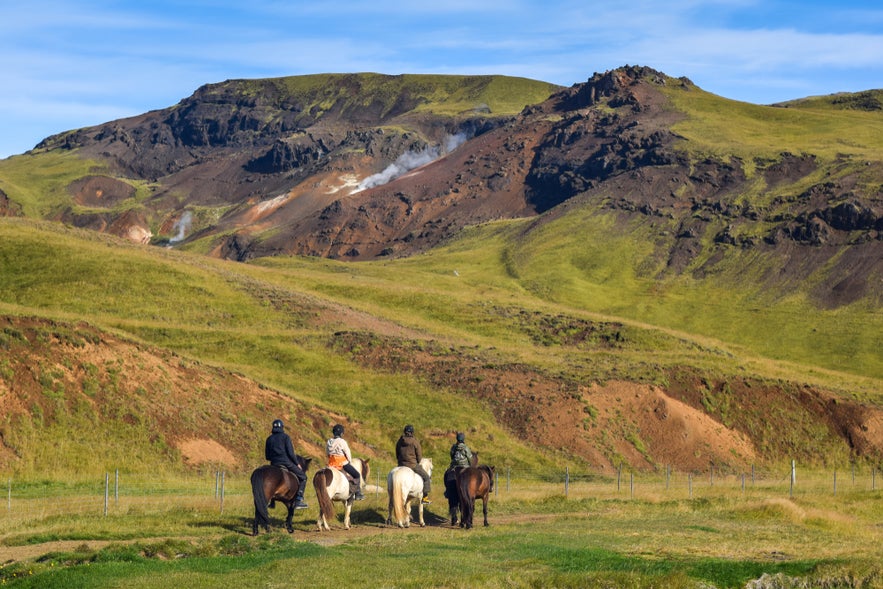 Horseback riding in Iceland.