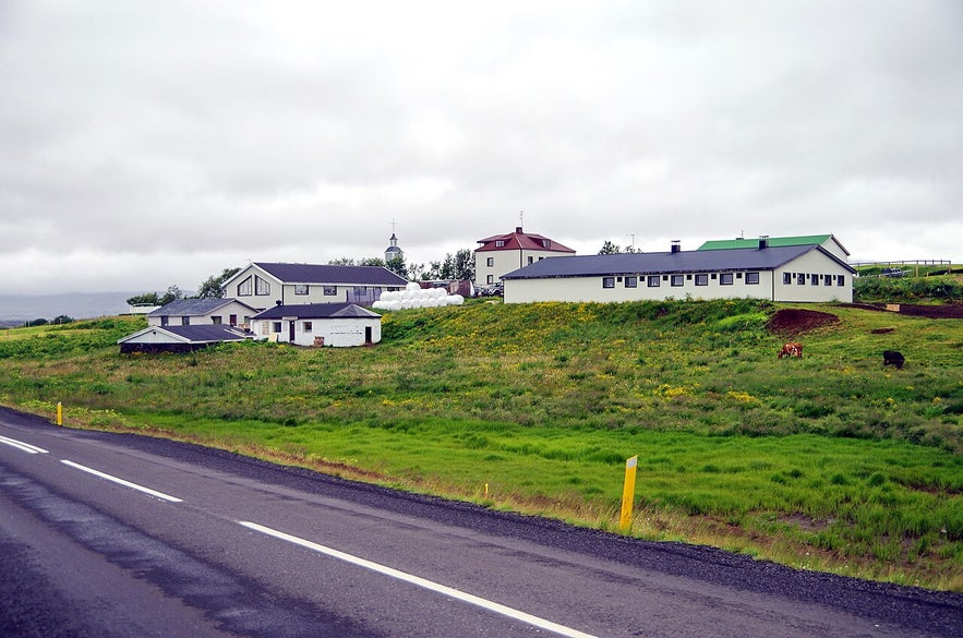 Skutustadir Farm House