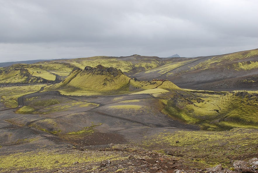 Lakakigar craters covered in moss. 