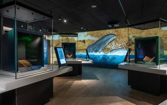 World in Words met en valeur différents artefacts et manuscrits.