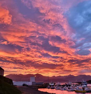 East Iceland Midnight Sun Boat Tour from Djupivogur