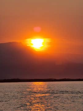 East Iceland Midnight Sun Boat Tour from Djupivogur