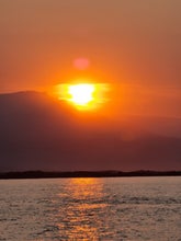 East Iceland Midnight Sun Boat Tour from Djupivogur