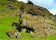 the-peculiar-rutshellir-cave-in-south-iceland-2.jpg