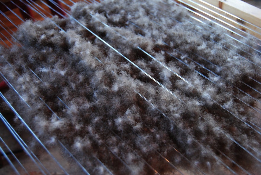 Raw eiderdown being processed in the center.