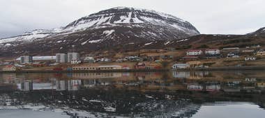 Village de Reydarfjordur