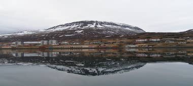 Village de Reydarfjordur