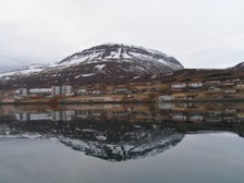 Reydarfjordur Village