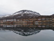 The scenic village of Reydarfjordur in the longest fjord of East Iceland.