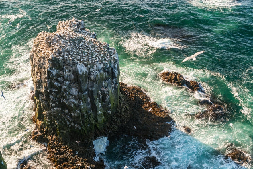 Rock formation on Langanes Peninsula