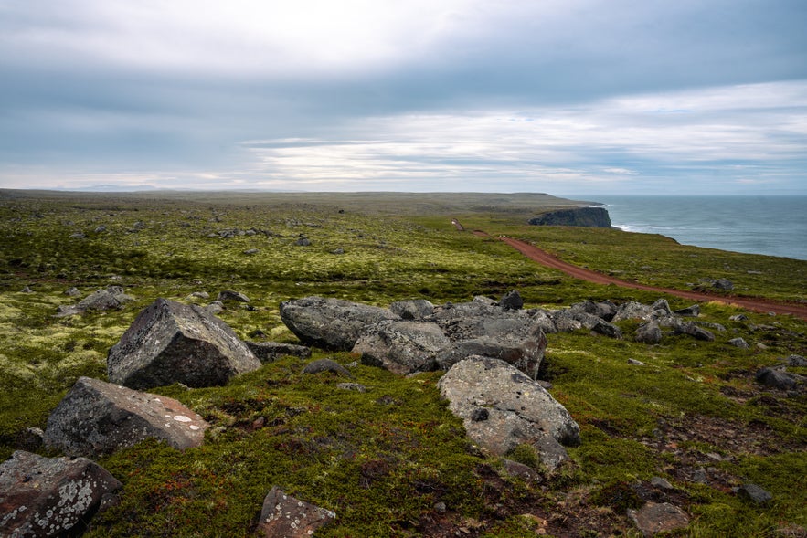A group of rocks around Langanes Peninsula