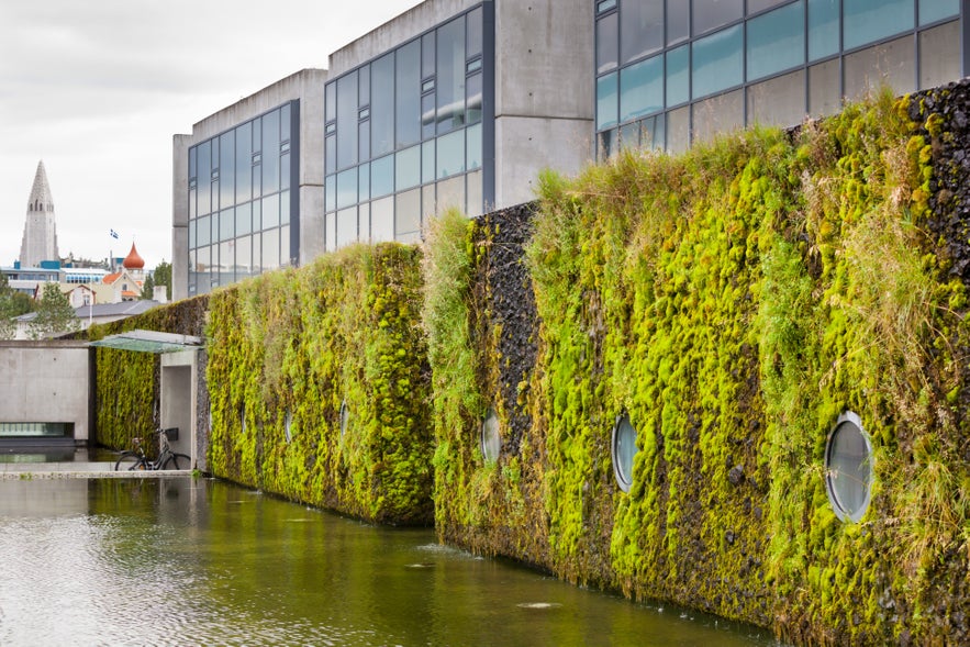 Moss-covered exterior wall of Reykjavik City Hall beside Tjornin Pond, showcasing modern architecture and natural design elements