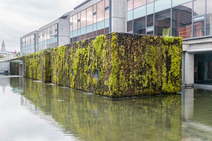 Moss-covered exterior wall of Reykjavik City Hall reflecting in shallow water by Tjornin Pond in downtown Reykjavik
