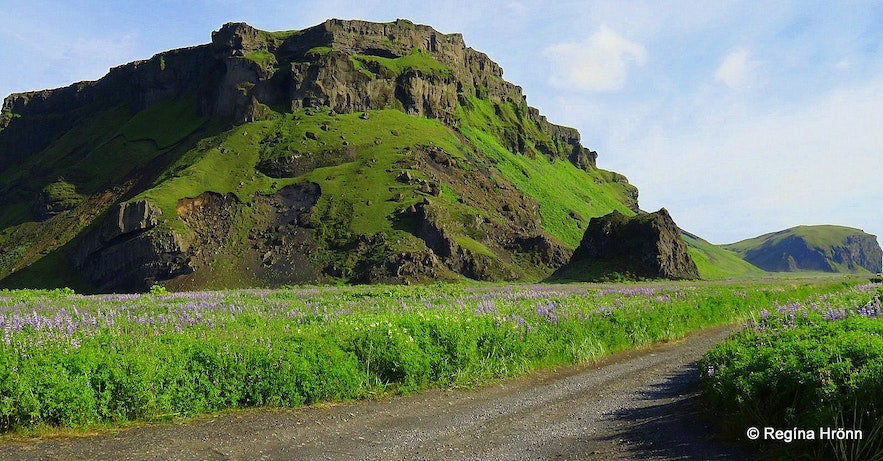 The picturesque mountain cape of Hjorleifshofdi.