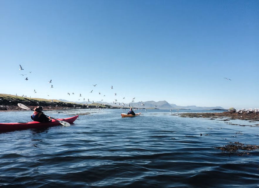 Kayaking in Breidafjordur Bay near Stykkisholmur with scenic views of calm waters, rocky islets, and distant mountains under a clear sky.