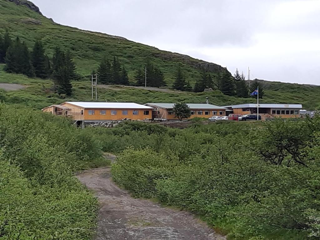 Hotel Flokalundur in the Westfjords surrounded by greenery