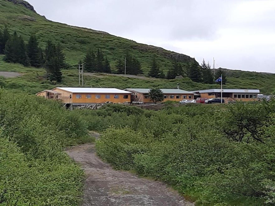 Hotel Flokalundur in the Westfjords surrounded by greenery