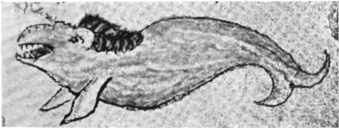17世紀の写本に描かれたラウズケンビングル。アイスランド民話に登場する恐ろしいクジラ。