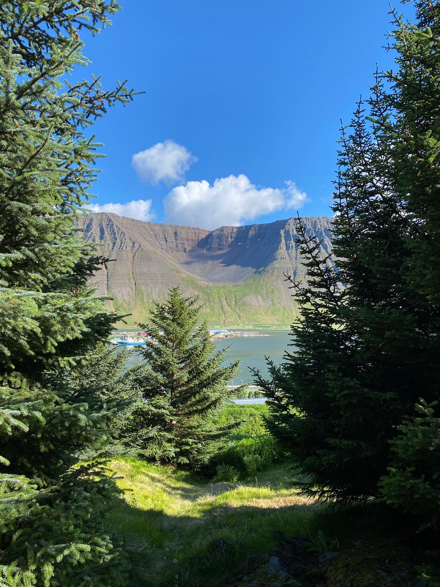Naustahvilft Things To Do in Isafjordur