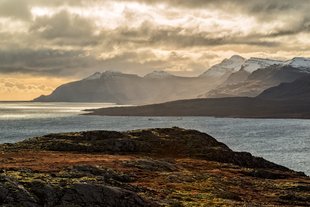 Golden light bathes the snow-dusted peaks and dramatic coastlines of the Eastfjords, with dark rocks and mossy tundra in the foreground.